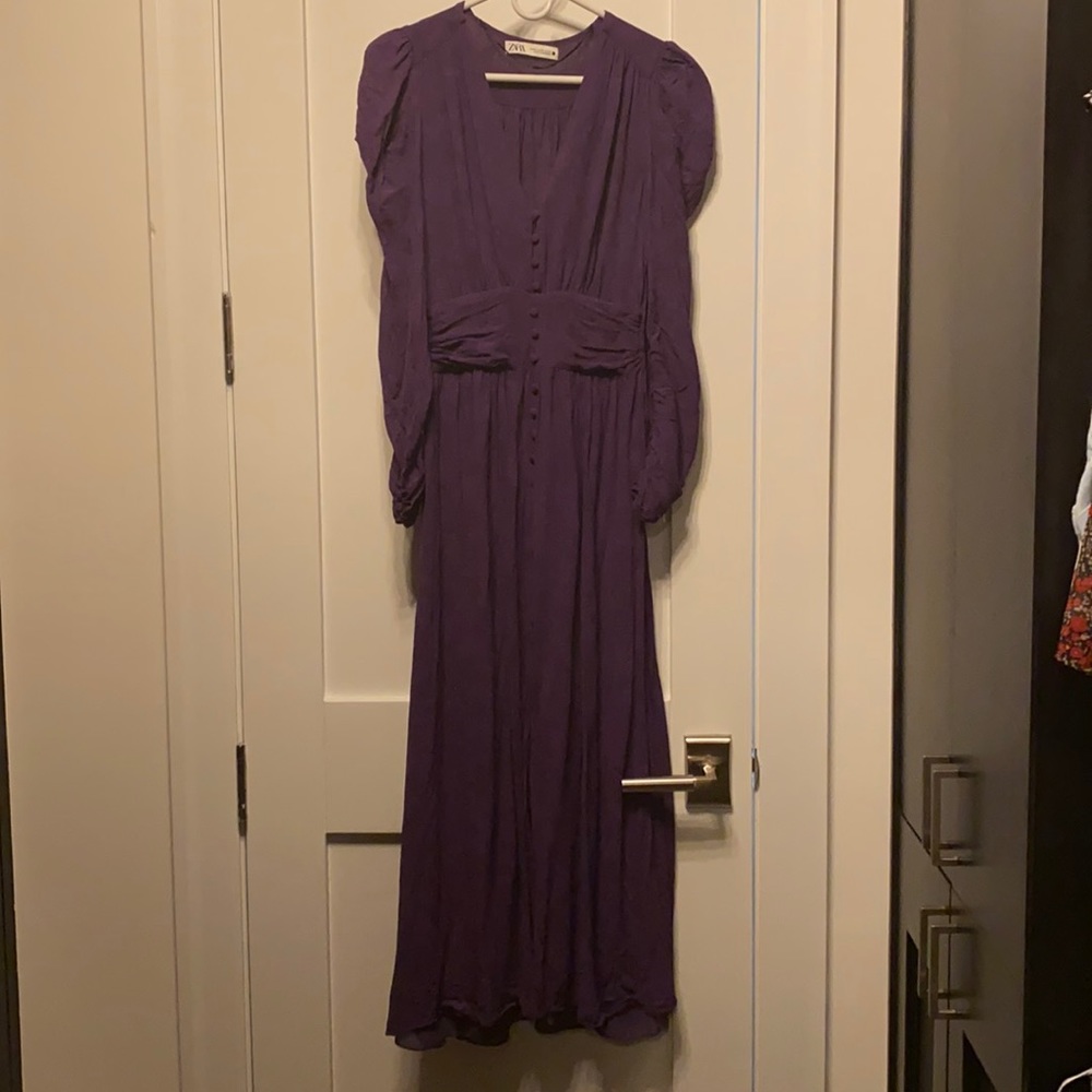 Zara purple long dress.